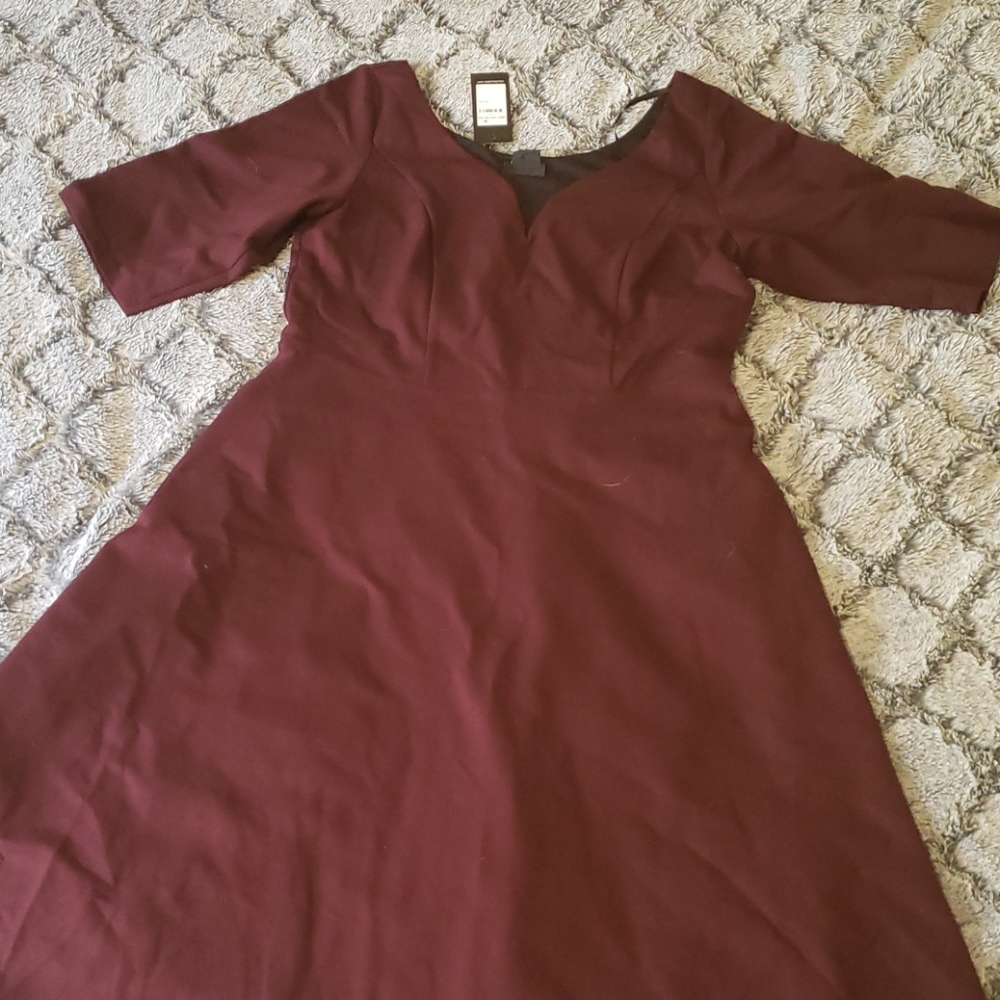 City Chic Plus sized tea length marsala dress